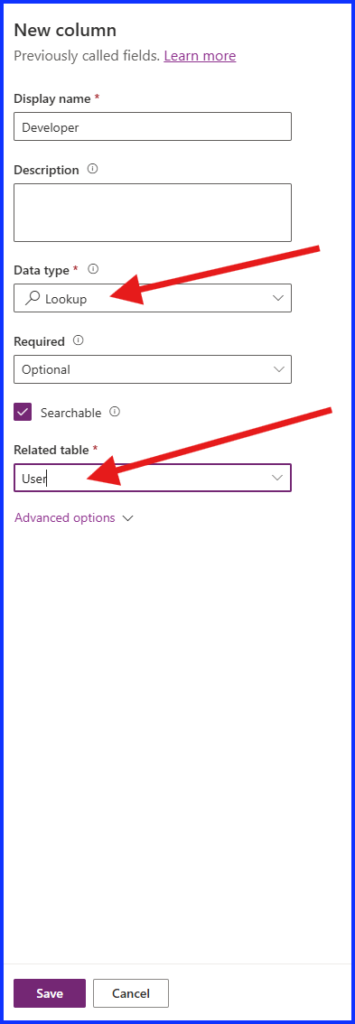 Lookup Data Type